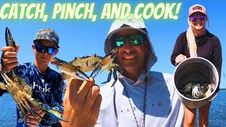 DONT DO THIS BLUECRAB CATCH CLEAN AND COOK [upl. by Nnyllaf809]