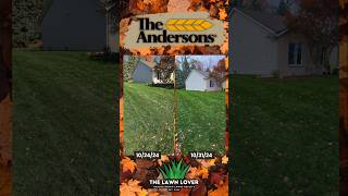 Can You Achieve Halloween Lawn Domination in 7 Days [upl. by Teddi]