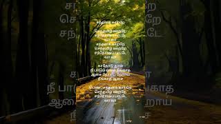 tamil love tamilsong song [upl. by Secnarfyram]