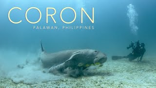 CORON 🤿 Dive with Dugongs August 2024 [upl. by Gurango]