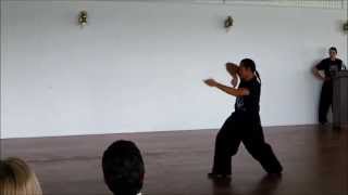 Seven Star Mantis Plum Flower Fist 梅花拳 Mui Fah Kuen [upl. by Scriven579]