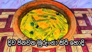 මුරුංගා කිරි රසට කිරි හොද්ද Moringa milk flavored curry [upl. by Anitnauq]