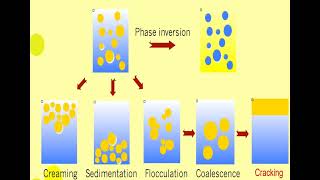 Lec 11 EMULSIONS Physical Stability شرح بالعربي [upl. by Nawotna]