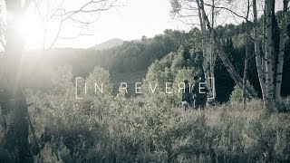 IN REVERIE  A Traditional Archery Utah Elk Film [upl. by Batchelor909]