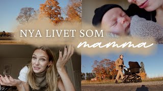 LIVET SOM NY MAMMA👶🏼🍼  hälsar på mormor hur jag läser bibeln amp tips nyfödd🧡🍂 [upl. by Daraj]