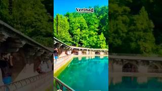 verinag kashmir source jehlum tum atifaslam [upl. by Cly]