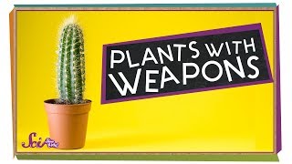 Plants with Weapons [upl. by Ihtac]