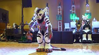 Anthro New England 2024  Dance Competition  Kire [upl. by Gnuoy463]