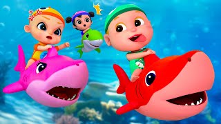 Baby Shark Dance Compilation  Kids Songs and Nursery Rhymes  Baby SumoCoco [upl. by Enymzaj765]