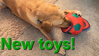 New Pet Toys DIG Chicken Sandwich and Christmas Tree is Up Vlogmas Day 6 [upl. by Natam]