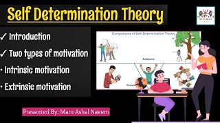 Self Determination Theory in Urdu amp Hindi  Types of Motivation  Intrinsic amp Extrinsic Motivation [upl. by Auhsuoj698]