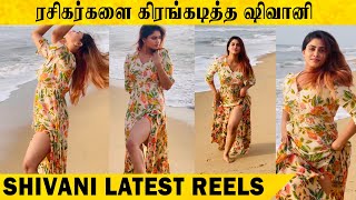 ரசிகர்களை கிரங்கடித்த ஷிவானி  Shivani Narayanan Latest Insta Reels  KGF2 Song  Big Bro [upl. by Chanda]