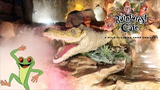 The Rainforest Cafe  Disney Springs [upl. by Eocsor996]