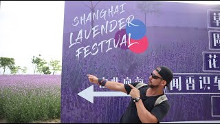 Visiting the Lavender Festival Shanghai [upl. by Haras388]