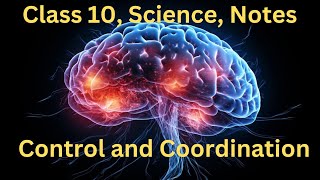 Control and Coordination  Class 10  Science  Biology  Best Notes [upl. by Spiro637]