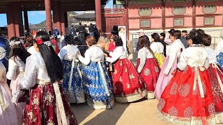 경복궁 마지막 단풍 보러 외국인들 대거 몰려와 한복 물결 장사진 Gyeongbokgung Palace Autumn Leaves Seoul [upl. by Ahseenyt]