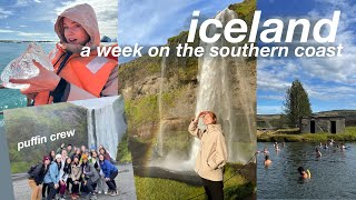 ICELAND VLOG 🇮🇸 reykjavik the secret lagoon puffins glacier hike the golden circle cat cafes [upl. by Pahl958]