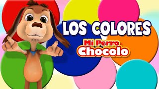 MI PERRO CHOCOLO APRENDE  LOS COLORES EN ESPAÑOL E INGLÉS [upl. by Marybella]