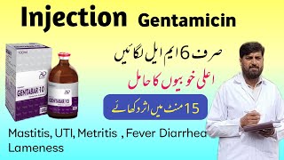 Injection جینٹا مائی سین  Gentamicin Use In Mastitis Metritis Pneumonia Diarrhea  Gentafar [upl. by Neisa]