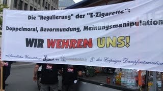 Dampfer Demo  Demonstration  Berlin 31082013  Bilder  Mut zur Wut [upl. by Urion]