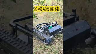 grassing automobile grass excavator mower [upl. by Zantos]