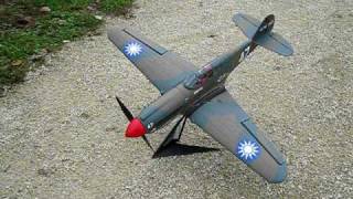 EFlite P40 Warhawk 300 ARF with Rudder Mod [upl. by Noryk]