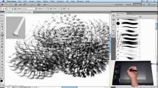 Fine Tuning and Tilt Sensitivity from Wacom MasterClass Complete Collection [upl. by Jyoti]