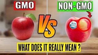 Gmo vs NonGmo  What does it really mean [upl. by Mello634]