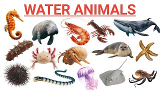 Water Animals  Interesting Facts About Some Water Animals  wateranimals [upl. by Acinomad417]