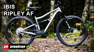 2021 Ibis Ripley AF Value Alloy Trail Ripper  First Look [upl. by Weissman]