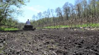 Creating Food Plots in the Woods With a Strategy for Seeing More Deer [upl. by Mcguire62]