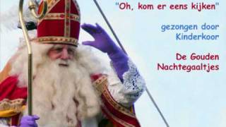 Sinterklaas  Oh kom er eens kijken [upl. by Ilocin951]