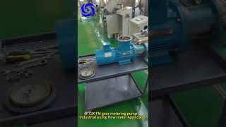 CIXIFM gear metering pump industrial pump flow meter Application dosingpump meteringpump [upl. by Fatma]