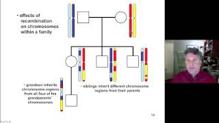 Cinelecture 76  Recombination Mapping Intro to Human Genetics [upl. by Estren310]