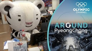 Being Soohorang the Mascot of the Winter Olympics  Around PyeongChang [upl. by Obelia749]