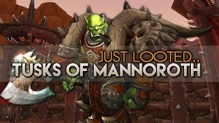 Tusks of Mannoroth drop  World of Warcraft  Siege of Orgrimmar Solo [upl. by Schramke692]