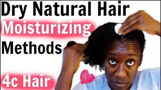 Moisturizing Dry 4c Natural Hair amp Oiling Scalp Retaining Moisture LOC Method [upl. by Pharaoh286]