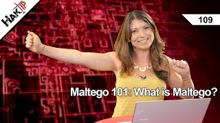 Maltego 101 What is Maltego Haktip 109 [upl. by Anerda]