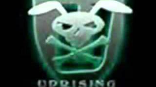 UPRISING shooting star [upl. by Seys423]