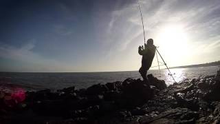 Cod Fishing at Cullernose Point [upl. by Asirap496]