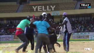 VIOLENCE A LARENE NATIONALE COMBAT ALIOUNE SEYE 2 VS NIAKH DIARIGNOU [upl. by Nolrak]