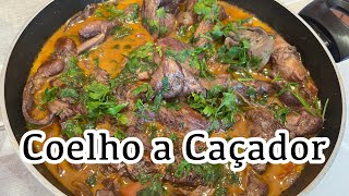 coelho a caçador 4K [upl. by Gabi]