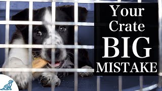 The BIGGEST Mistake People Make With Crate Training A Puppy [upl. by Finbar]