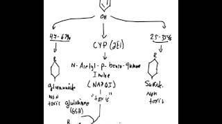 Acetaminophen Toxicity [upl. by Okeim]