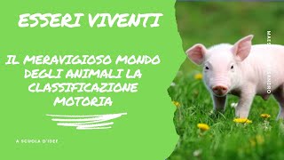 COME SI ADATTANO GLI ANIMALI NELLAMBIENTE IN CUI VIVONO  video didattico per la scuola primaria [upl. by Mcnamara996]