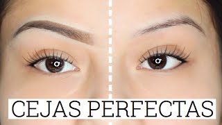 COMO HACER LAS CEJAS PERFECTAS PASO A PASO [upl. by Siduhey]