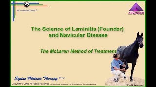 Laminitis and Navicular Syndrome [upl. by Uchish144]