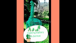 Diy topiaryHow to make topiarylook and less challenge [upl. by Ahsiya945]