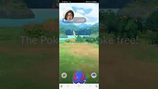 Rare Wild Dreepy Spawn pokemon pokemongo galarpokemon [upl. by Ecinahs164]