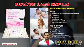 BudecortBudesonide 05mgRespules l Asthma CoughingBreathlessness Doctor MedsUses HindiampEngSub [upl. by Ociredef465]